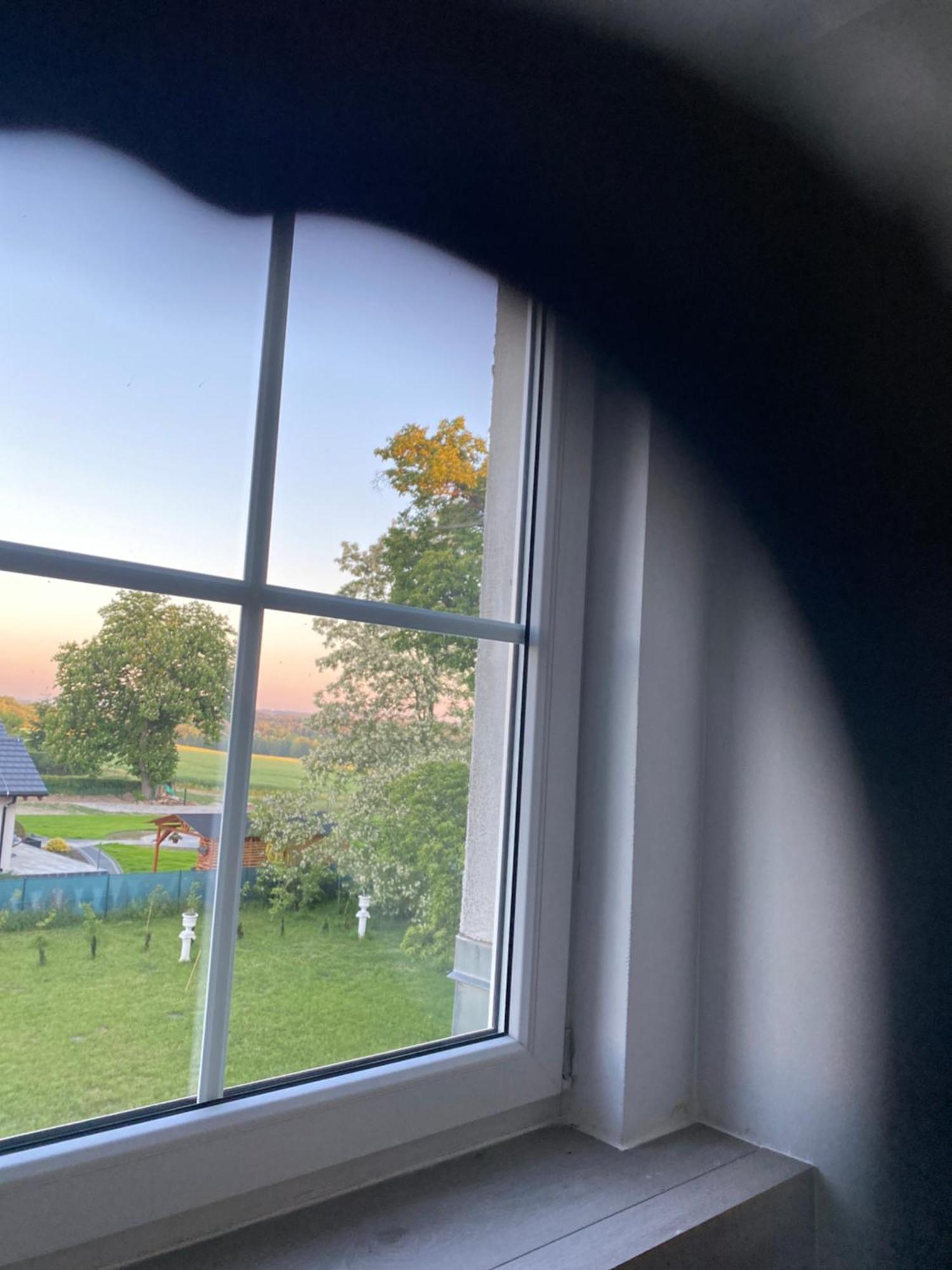 Palac Osowo Gostynskie Exteriér fotografie